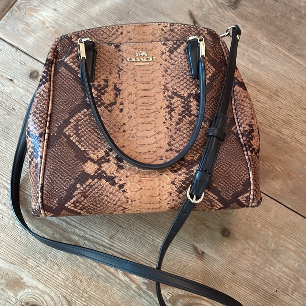 Coach Satchel Snake Model